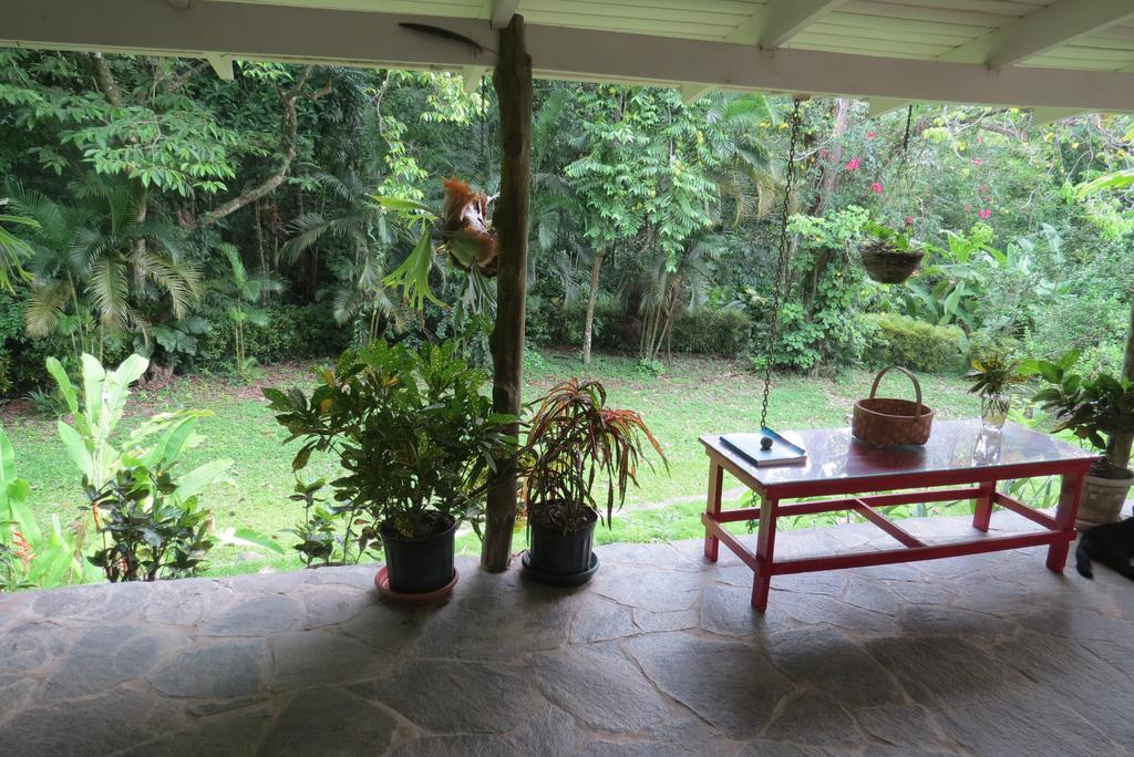 Apartamento Karibu Manuel Antonio Room photo