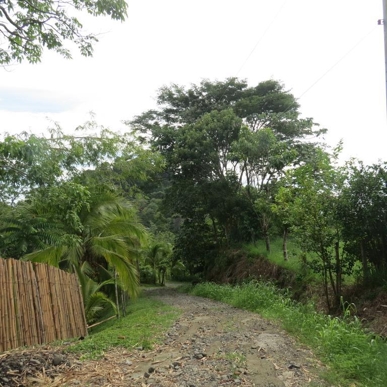 Apartamento Karibu Manuel Antonio Room photo