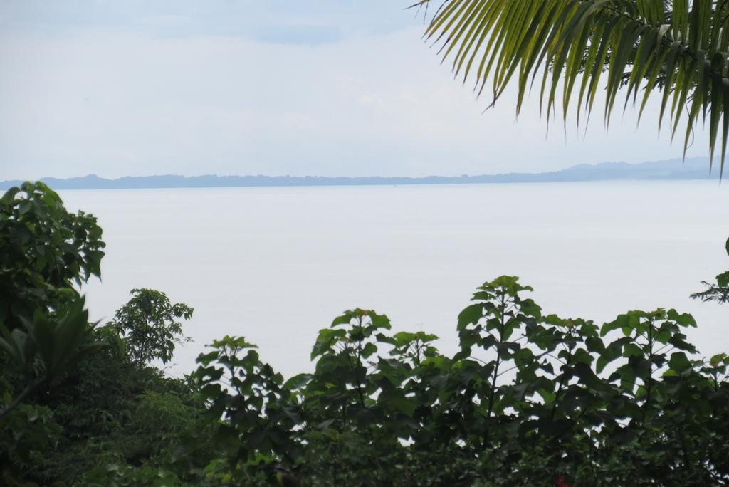 Apartamento Karibu Manuel Antonio Room photo